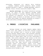 Paslaugų marketingas: kavinės kūrimas ir valdymas 14 puslapis