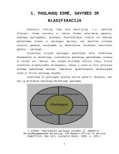 Paslaugų marketingas: kavinės kūrimas ir valdymas 3 puslapis