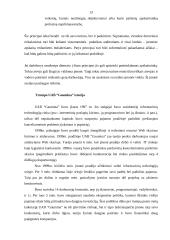 Apskaitos politika – vadovo pareiga ir atsakomybė 13 puslapis
