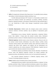 Apskaitos politika – vadovo pareiga ir atsakomybė 15 puslapis