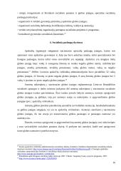 Apskričių vaidmuo, įgyvendinant socialines paslaugas 16 puslapis