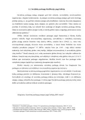 Apskričių vaidmuo, įgyvendinant socialines paslaugas 7 puslapis