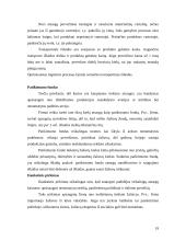 Aptarnavimo standartai logistikoje 19 puslapis