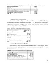 Pastatų komplekso aprūpinimas energija: Rokiškio miestas 18 puslapis