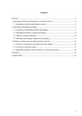 Asmenybė, pažinimas ir informacijos apdorojimas sprendimų priėmimo procese 2 puslapis