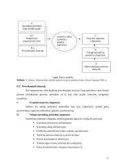 Asmenybė, pažinimas ir informacijos apdorojimas sprendimų priėmimo procese 11 puslapis