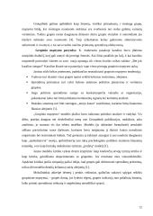 Asmenybė, pažinimas ir informacijos apdorojimas sprendimų priėmimo procese 12 puslapis