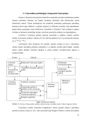 Asmenybė, pažinimas ir informacijos apdorojimas sprendimų priėmimo procese 13 puslapis