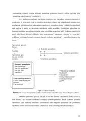 Asmenybė, pažinimas ir informacijos apdorojimas sprendimų priėmimo procese 18 puslapis