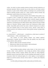 Asmenybė, pažinimas ir informacijos apdorojimas sprendimų priėmimo procese 8 puslapis