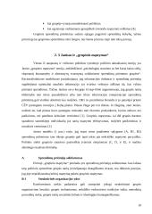 Asmenybė, pažinimas ir informacijos apdorojimas sprendimų priėmimo procese 10 puslapis
