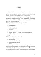 Asmenų, išėjusių iš įkalinimo vietų, socialinės adaptacijos programa miesto savivaldybėje 3 puslapis