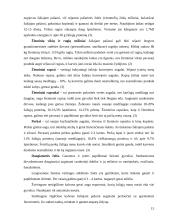 Pašarininkystė: žaliasis konvejeris 15 puslapis