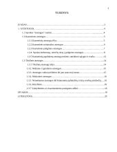 Atostogos: sąvoka, rūšys, suteikimo galimybės ir tvarka 2 puslapis