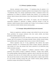 Atostogos: sąvoka, rūšys, suteikimo galimybės ir tvarka 15 puslapis