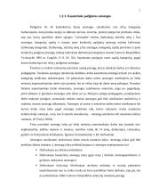 Atostogos: sąvoka, rūšys, suteikimo galimybės ir tvarka 7 puslapis