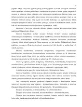 Atostogos: sąvoka, rūšys, suteikimo galimybės ir tvarka 9 puslapis