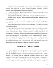 Pataisos inspekciją administruojančios verslo priežiūros institucijos: Kauno regionas 10 puslapis