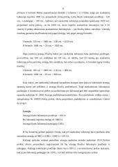 Atsargų apskaitos metodai 8 puslapis