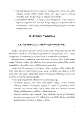Atsargų valdymas 7 puslapis