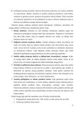 Atsargų valdymas 8 puslapis