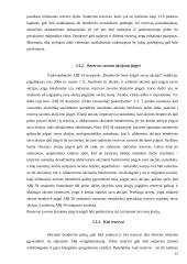 Pelno (nuostolio) ir jo paskirstymo apskaita 12 puslapis