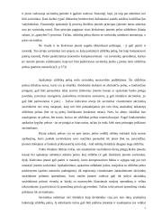 Pelno (nuostolio) ir jo paskirstymo apskaita 7 puslapis
