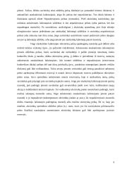 Pelno (nuostolio) ir jo paskirstymo apskaita 8 puslapis