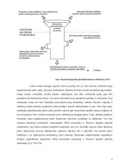 Pelno (nuostolio) ir jo paskirstymo apskaita 9 puslapis
