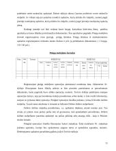 Atsiskaitymų su tiekėjais ir pirkėjais apskaita 12 puslapis