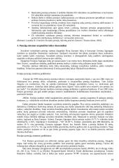 Pensijų sistemos atspindžiai šalies ekonomikai (Europoje) 13 puslapis