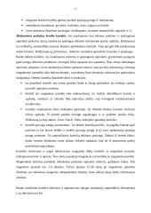 Atsiskaitymų su tiekėjais, pirkėjais ir užsakovais organizavimas: UAB "Ortopedijos centras" 17 puslapis