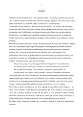 Atsiskaitymų su tiekėjais, pirkėjais ir užsakovais organizavimas: UAB "Ortopedijos centras" 3 puslapis