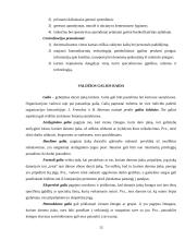 Personalas – valdymo proceso objektas ir subjektas 12 puslapis