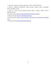 Personalas – valdymo proceso objektas ir subjektas 17 puslapis