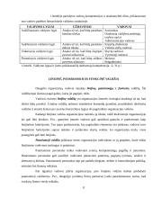 Personalas – valdymo proceso objektas ir subjektas 8 puslapis