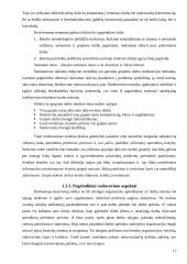 Personalo motyvavimas Lietuvoje 13 puslapis