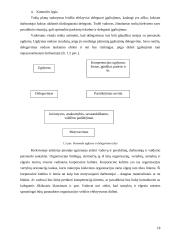 Personalo motyvavimas Lietuvoje 18 puslapis