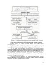 Personalo organizavimas Šiaulių apskrities valstybinėje mokesčių inspekcijoje 12 puslapis
