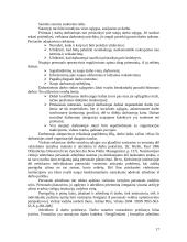 Personalo organizavimas Šiaulių apskrities valstybinėje mokesčių inspekcijoje 17 puslapis