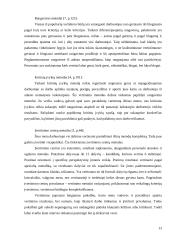 Personalo vertinimo organizavimas Marijampolės savivaldybės administracijoje 13 puslapis