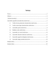 Automobilio techninės charakteristikos: Renault 2 puslapis