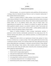 Piniginių lėšų auditas: UAB "Mažylis" 2 puslapis