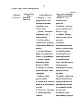 Piniginių lėšų auditas: UAB "Mažylis" 12 puslapis