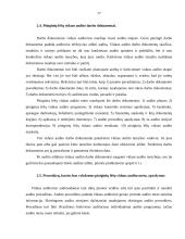 Piniginių lėšų auditas: UAB "Mažylis" 16 puslapis