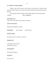 Piniginių lėšų auditas: UAB "Mažylis" 19 puslapis