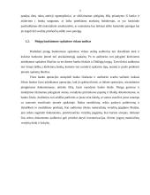 Piniginių lėšų auditas: UAB "Mažylis" 4 puslapis