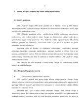 Piniginių lėšų auditas: UAB "Mažylis" 5 puslapis