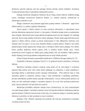 Piniginių lėšų auditas: UAB "Mažylis" 6 puslapis