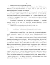 Piniginių lėšų auditas: UAB "Mažylis" 7 puslapis